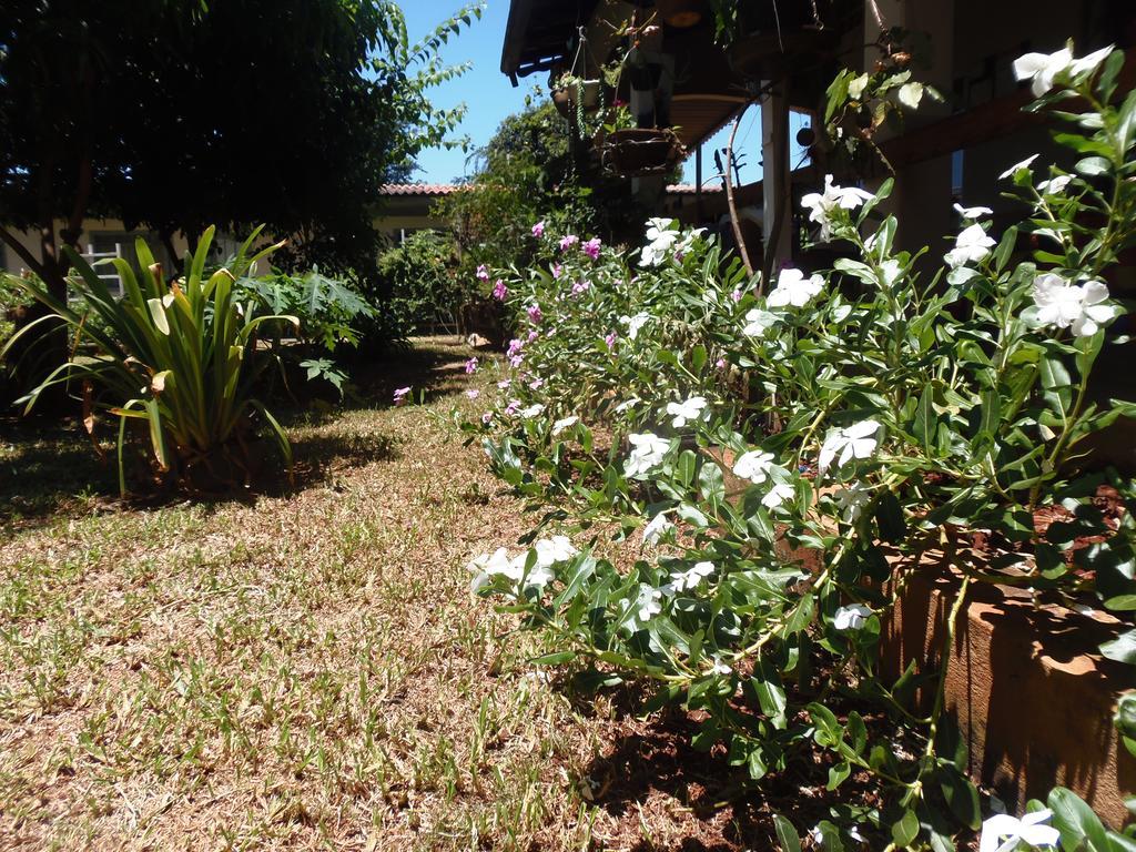 Hotel Meliza'S Garden à Foz do Iguaçu Extérieur photo